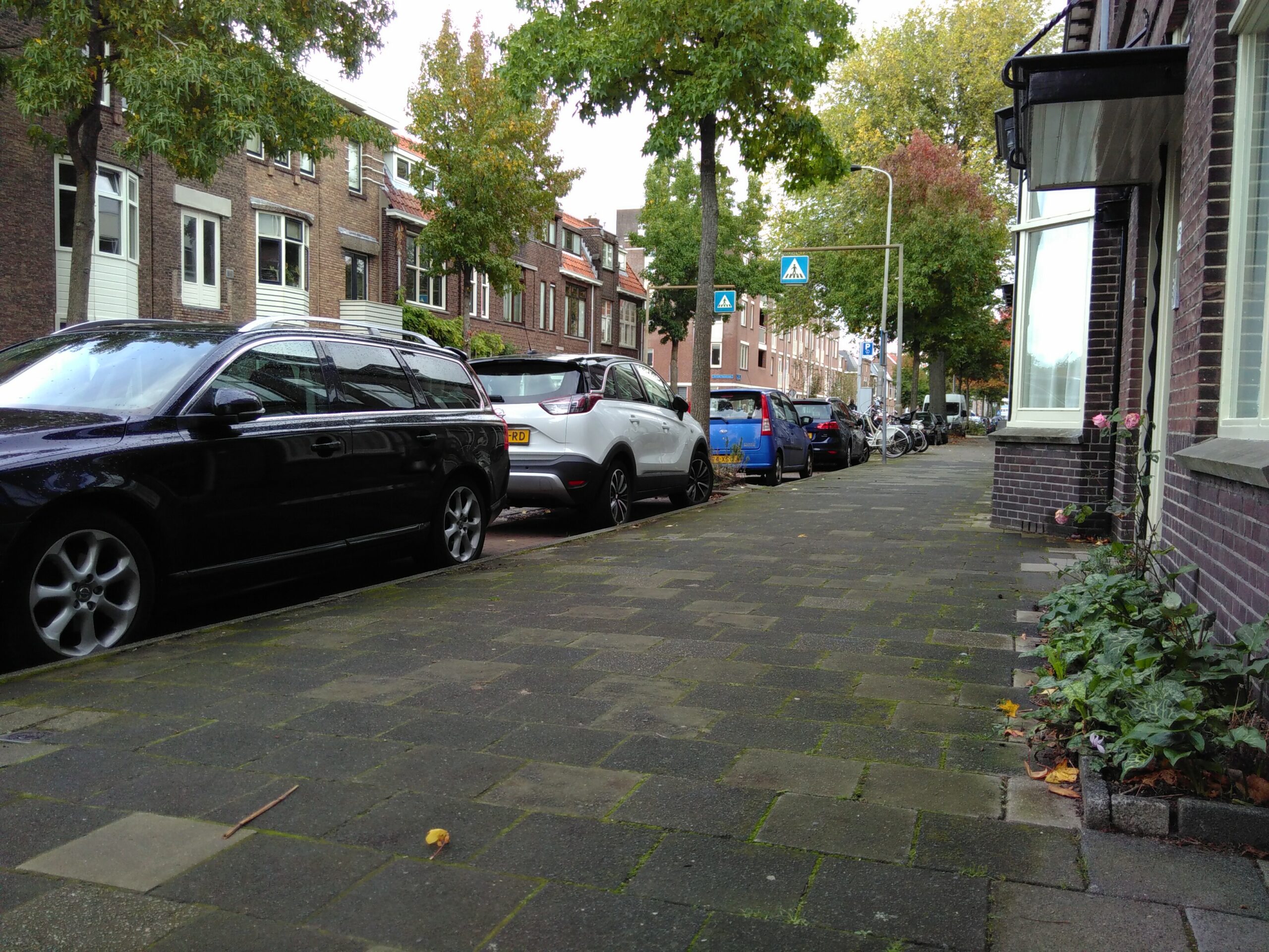 Wat als in deze straat minder auto's zouden staan en meer groen?